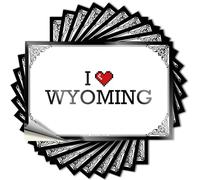 Tattoos Fun Western Home Decor Autocollant imperméable pour utilisation dans l'eau Motif I Love Wyoming 12 x 18 cm
