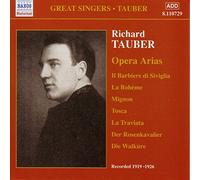 Tauber, Richard - Airs D'Opera/Vol.1 [Import]