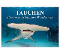 Tauchen - Abenteuer in Neptuns Wunderwelt (Wandkalender 2026 DIN A2 quer), CALVENDO Monatskalender: Abenteuer in der faszinierenden Unterwasserwelt unserer Meere