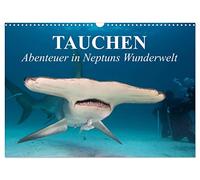 Tauchen - Abenteuer in Neptuns Wunderwelt (Wandkalender 2026 DIN A3 quer), CALVENDO Monatskalender: Abenteuer in der faszinierenden Unterwasserwelt unserer Meere
