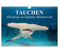 Tauchen - Abenteuer in Neptuns Wunderwelt (Wandkalender 2026 DIN A4 quer), CALVENDO Monatskalender: Abenteuer in der faszinierenden Unterwasserwelt unserer Meere