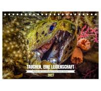 TAUCHEN, EINE LEIDENSCHAFT (Tischkalender 2027 DIN A5 quer), CALVENDO Monatskalender: Ein Jahr voller Unterwasserwelten