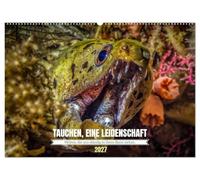 TAUCHEN, EINE LEIDENSCHAFT (Wandkalender 2027 DIN A2 quer), CALVENDO Monatskalender: Ein Jahr voller Unterwasserwelten