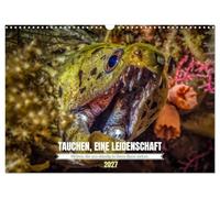 TAUCHEN, EINE LEIDENSCHAFT (Wandkalender 2027 DIN A3 quer), CALVENDO Monatskalender: Ein Jahr voller Unterwasserwelten