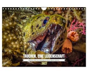 TAUCHEN, EINE LEIDENSCHAFT (Wandkalender 2027 DIN A4 quer), CALVENDO Monatskalender: Ein Jahr voller Unterwasserwelten
