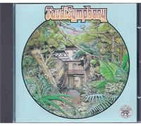 Taudi Symphony - Taudi Symphony [Import]