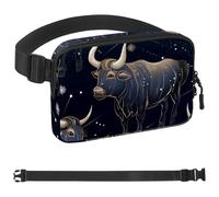 Taurus Ceinture de course de poche pour homme et femme, support de téléphone pour la course à pied, sac banane de course à pied, taille réglable, Multicolore 14., 1.5x9.0x5.9in/4x23x15cm