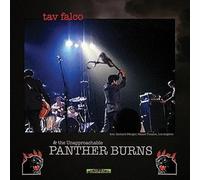 Tav Falco & Panther Burns - Administrator Blues [Import]