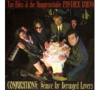 Tav Falco & Unapproa - Panther Burns