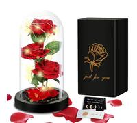 TAVADA Rose Eternelle sous Cloche,Rose Enchantée,La Belle et la Bête Rose en Verre avec Bande Lumineuse LED,Rose Cadeau pour Anniversaire,Saint Valentin,Fête des mères