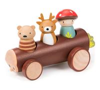 Taxi des animaux de la forêt