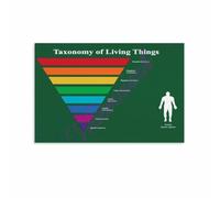 Taxonomy Poster Living Things Ranking System Biology Art | Hierarchical classification from domain down to species with example organisms(Framed,16x24inch(40x60cm))