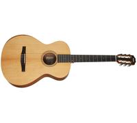 Taylor Academy 12e-N LTD