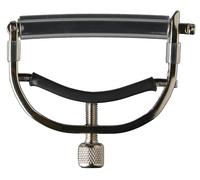 Taylor Capo 12-String Black Nickel
