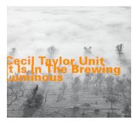 Taylor Cecil - It Is The Brewing Luminous