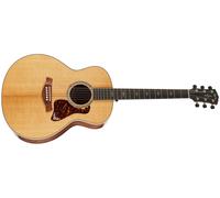 Taylor Taylor Gold Label 814e