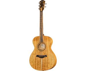 Taylor Taylor Jacob Collier Sign. JCSM-5