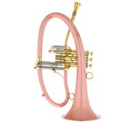 Taylor Trumpets Taylor Trumpets Phat Boy