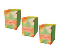 Taylors® | Thé vert Sencha Hibiscus blanc et pêche | Thé vert aromatisé aux fruits - 3 x 20 sachets (90 Gr)