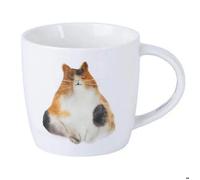 Maxwell & Williams Feline Friends DX1222 Tasse en porcelaine Multicolore 400 ml