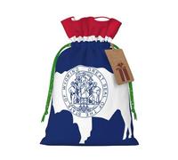 TBABMDPDM Sacs cadeaux de Noël avec cordon de serrage et motif drapeau de l'État du Wyoming, tailles assorties pour cadeaux de fête