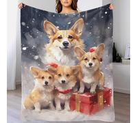 TBDUEPS Couverture de Noël en Flanelle, Motif Famille de Chiens Corgi des neiges, imprimé 3D, Ultra Douce, Moelleuse et Chaude, en Microfibre, pour canapé, 150 x 200 cm