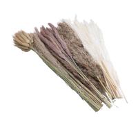 Tbest 110 PCS Séchées Pampas Herbe Décor Rustique Phragmites Fleurs Séchées Bouquet pour Mariage OuBulrush Reed Grass Grass 110 Bouquet Comprend des Pampas pour Diverses à Grandes Plus