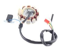 Tbest Bobines de Stator Magnéto à 11 Pôles, Générateur D'allumage Durable Haute Performance pour Moteurs de Scooter GY6 15Réservoir JONWAY WOLF SUNL
