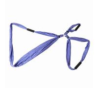 Tbest Chaise Swing Hamac de Yoga en Nylon Premium, Fabrication Exquise, Conception Polyvalente, Hauteur Réglable, Support de l'exercice Confortable, Yoga Sling élingue Hamac en Aérien, avec