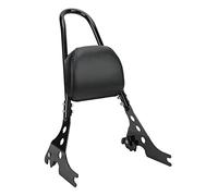 Tbest Dossier de Moto, Dossier de Passager Arrière Sissy Bar de Remplacement Amovible pour Coussin de Passager Arrière pour XL1200R XLH1200 2004-2019(Le noir)