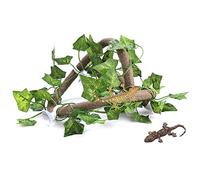 Tbest Ensemble de Branche d'escalade de Reptile Premium, Vidéo Flexible écologique pour L' du Reptile, pour Le Poisson et la Boîte de (Vinaigre + Feuille de Lierre)