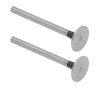 Tbest Ensemble de Soupapes d'admission pour Générateur de Motoculteur - Kit de Soupape de Moteur en Acier allié sans Bavure, Haute Résistance à la Chaleur et à l'usure, Compatible avec les Outils