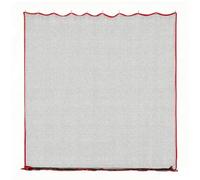 Tbest Filet D’entraînement de Baseball 10x10ft avec 10 Crochets Suspendus et Corde, pour Frapper, Lancer, Attraper, Softball, Football, Basketball, Volley-Ball