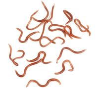 Tbest Leurre de Pêche en Forme de 10cm, Appât avec Odeur de Poisson, Appât en Plastique Souple, Ensemble de 17 à 18 Pièces pour Truite d'eau Douce et Salée