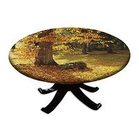 TBXwsofl Engrenage d'entraînement de Fusion Compatible avec Les modèles d'imprimante V80 V180 V2100 V3100 Versant 80 180 2100 3100 pour numéro de pièce 007K98680 007K98681 007K98682(15T Gear)