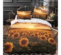 TBZXEEWOE Soleil Lune Étoiles Parure de Lit 3D Effet Microfibre résistante Hypoallergique Motifs d'astrologie Vintage Housse de Couette Fermeture Éclair Ultra Douce for Ado Double（200x200cm）