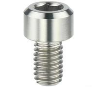 TC4 Vis de fixation M6 x 10 mm en alliage avec revêtement PVD, boulons de frein à douille hexagonale pour vélos pliants de route et VTT (argenté)