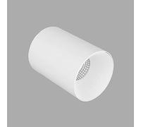TCHAUSGZOZ Spot de Plafond Moderne Montage en Cylindre Downlight, Projecteurs Directionnels 10W Aluminium for Couloir Salon Galerie(White light,10W)