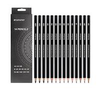 TCNGKIJIUK 14 Pièces Crayons à Dessin Professionnel 4H 2H HB B 2B 3B 4B 5B 6B 7B 8B 10B 12B 14B Crayons à Croquis en Bois Set de 14 Crayons Graphite pour Enfants Adultes Artistes Débutants