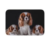 Tcoay Cavalier King Charles Spaniel mère avec Ses Petits,Paillasson Tapis Tapis Tapis Polyester Antidérapant Décor de Sol Absorbant Salle de Bain Pad