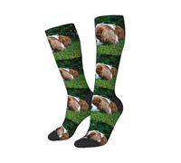 Tcoay Chaussettes chaudes pour adultes, chaussettes de sport en polyester, motif Cavalier King Charles Spaniel, marron et blanc
