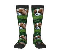 Tcoay Chaussettes chaudes pour adultes, chaussettes de sport en polyester, motif Cavalier King Charles Spaniel, marron et blanc
