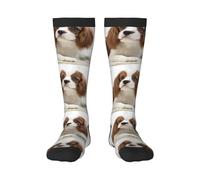 Tcoay Chaussettes chaudes pour adultes pour hommes et femmes, chaussettes de sport en polyester, Cavalier King Charles Spaniel Brown Spaniel