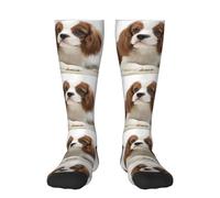Tcoay Chaussettes chaudes pour adultes pour hommes et femmes, chaussettes de sport en polyester, Cavalier King Charles Spaniel Brown Spaniel