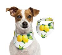 Tcoay Citron,Bavoir pour Animaux de Compagnie, écharpe, Bandana pour Chats et Chiens, Serviette pour Chiens, écharpe réglable pour Animaux de Compagnie,S