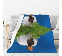 Tcoay Couverture décorative en Flanelle, jeté de lit en Peluche, Couverture de lit pour canapé et Voyage, Motif Lapin et Herbe
