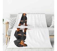 Tcoay Couverture décorative en Flanelle, jeté de lit en Peluche, Couverture pour la literie, Le canapé et Les Voyages, Mignon Chiot Teckel Assis