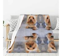 Tcoay Couverture décorative en Flanelle, jeté de lit en Peluche, Couverture pour la literie, Le canapé et Les Voyages, Portrait d'un Yorkshire Terrier Miniature (Yorkie)
