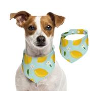 Tcoay Feuilles de Fleurs de Fruits de Citron,Bavoir pour Animaux de Compagnie, écharpe, Bandana pour Chats et Chiens, Serviette pour Chiens, écharpe réglable pour Animaux de Compagnie,S