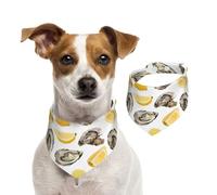 Tcoay Huîtres et mandarines,Bavoir pour Animaux de Compagnie, écharpe, Bandana pour Chats et Chiens, Serviette pour Chiens, écharpe réglable pour Animaux de Compagnie,M